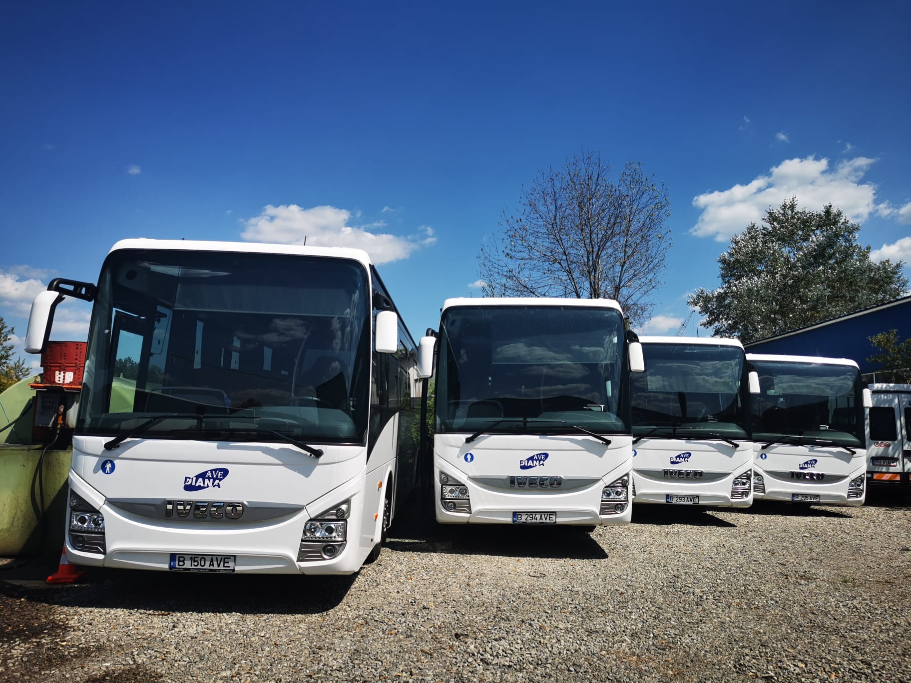 AVE DIANA Transport